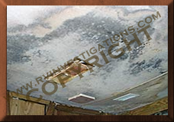 rv ceiling mold